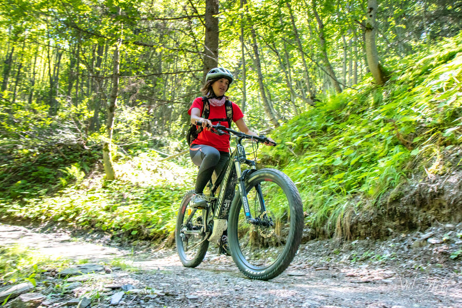 Plan Desert FFC n°56