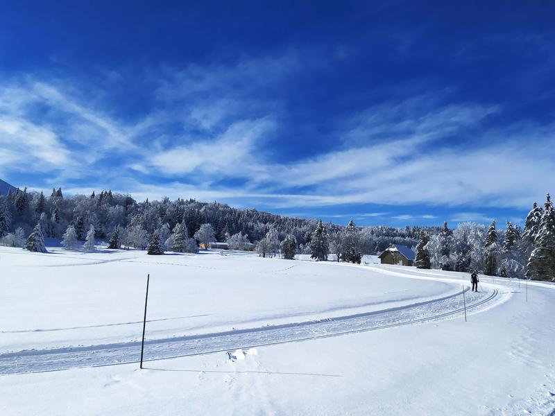 longeant les pistes de ski de fond