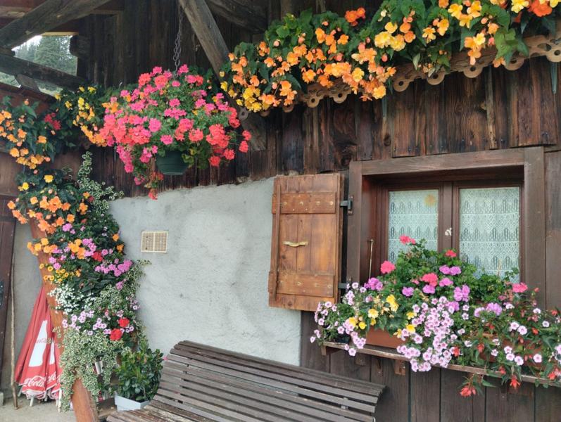 Ferme alpage de la Vieille