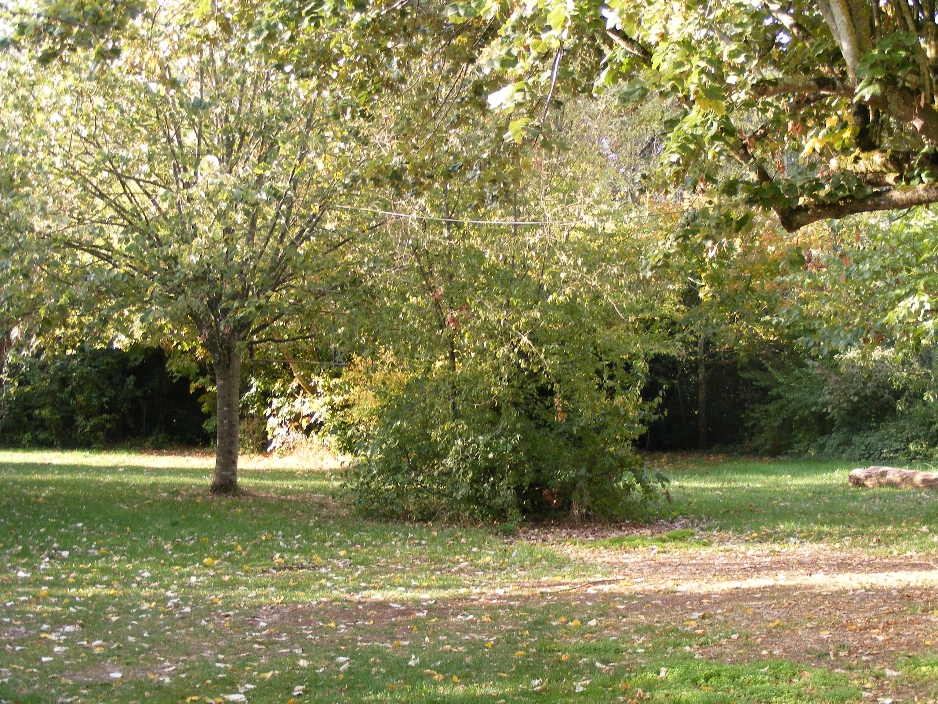 Espace extérieur de l'aire naturelle de camping