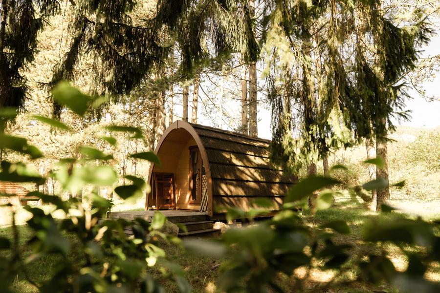 Les Pods des Géorennes_Champfromier