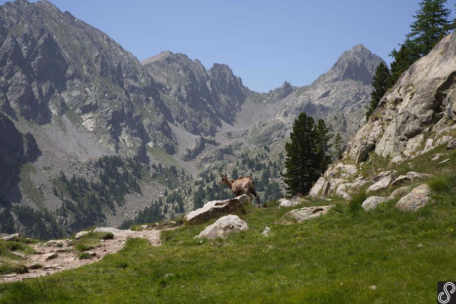 Gordolasque, site préservé