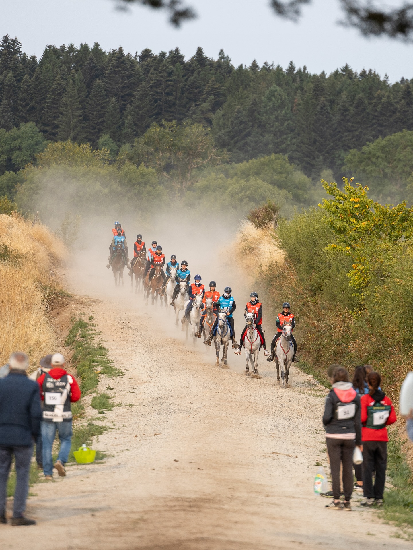 Le Raid des Pèlerins : concours international d'endurance équestre