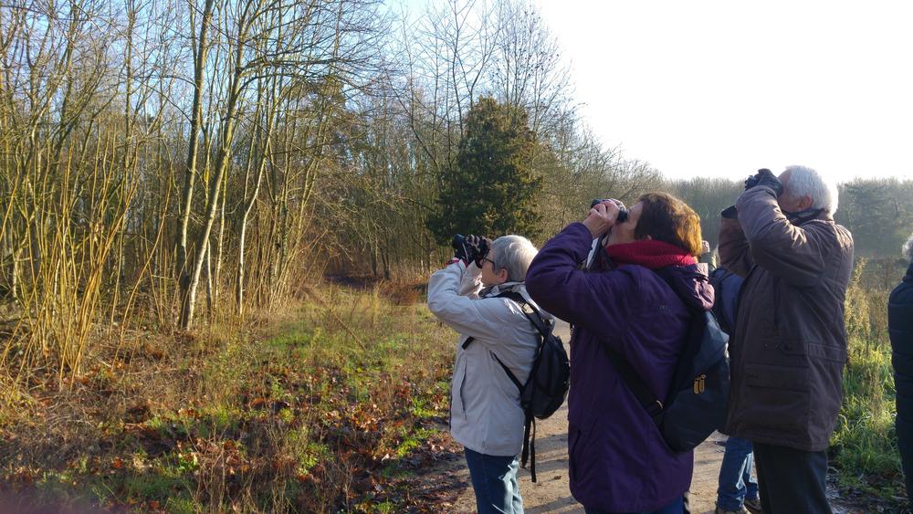 Sortie ornithologique avec la LPO 