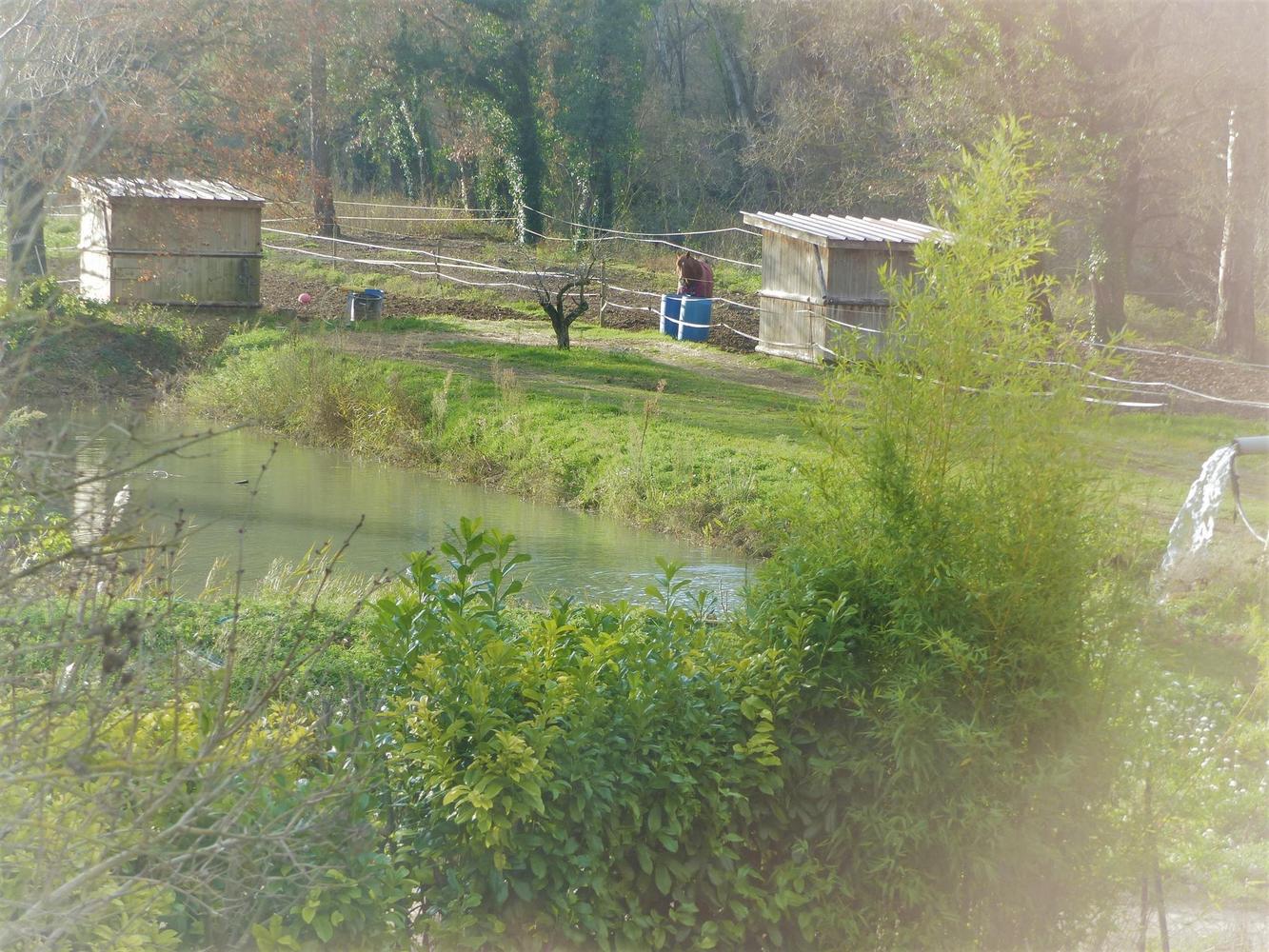 Le Pigeonnier, Meyrargues - photo 7