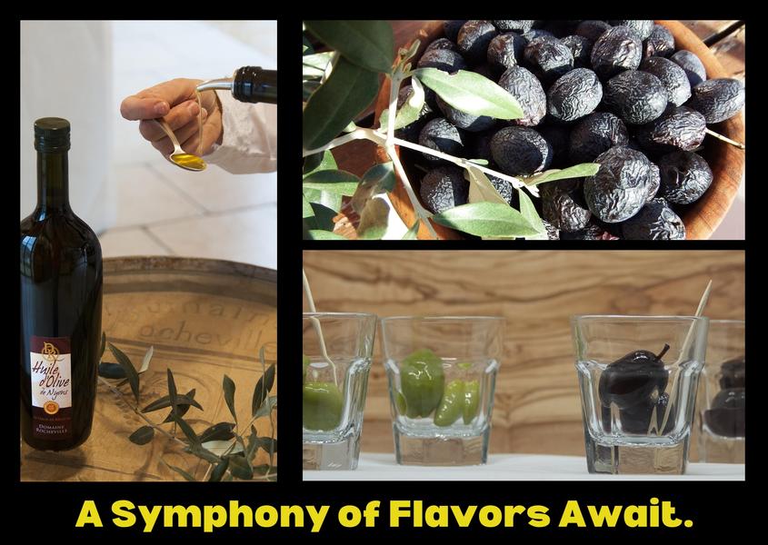 Dégust'olives_Nyons