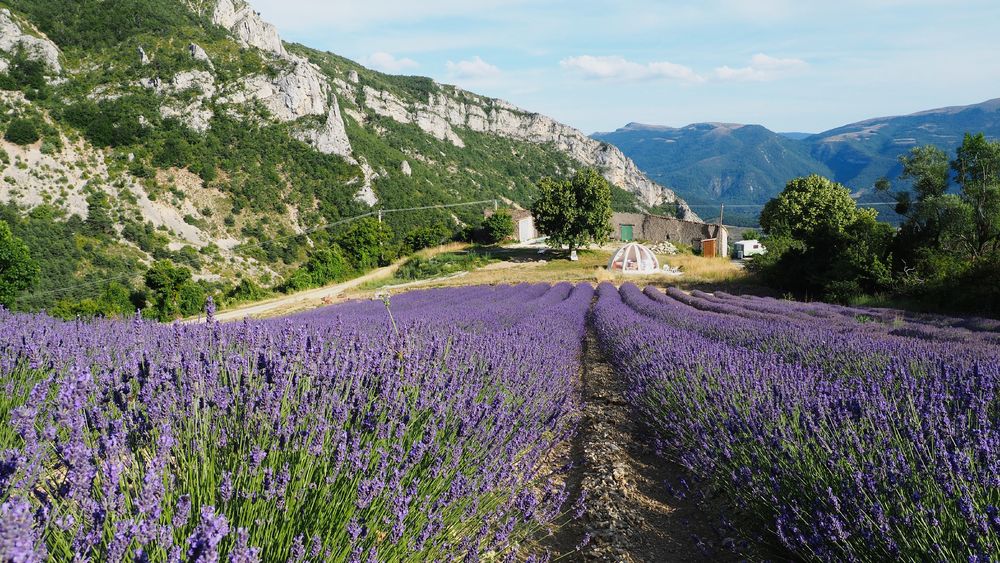 Izon Nature, hébergements et table d'hôtes insolites dans la Drôme provençale