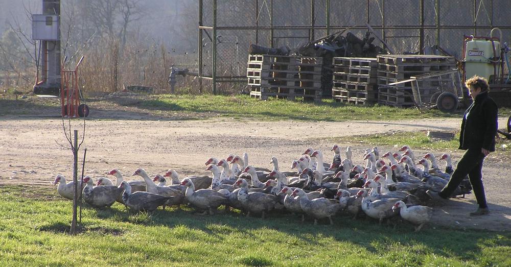 La Ferme du Vieux Hameau
