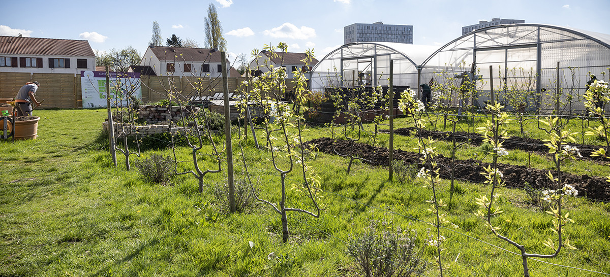 Ferme des Possibles