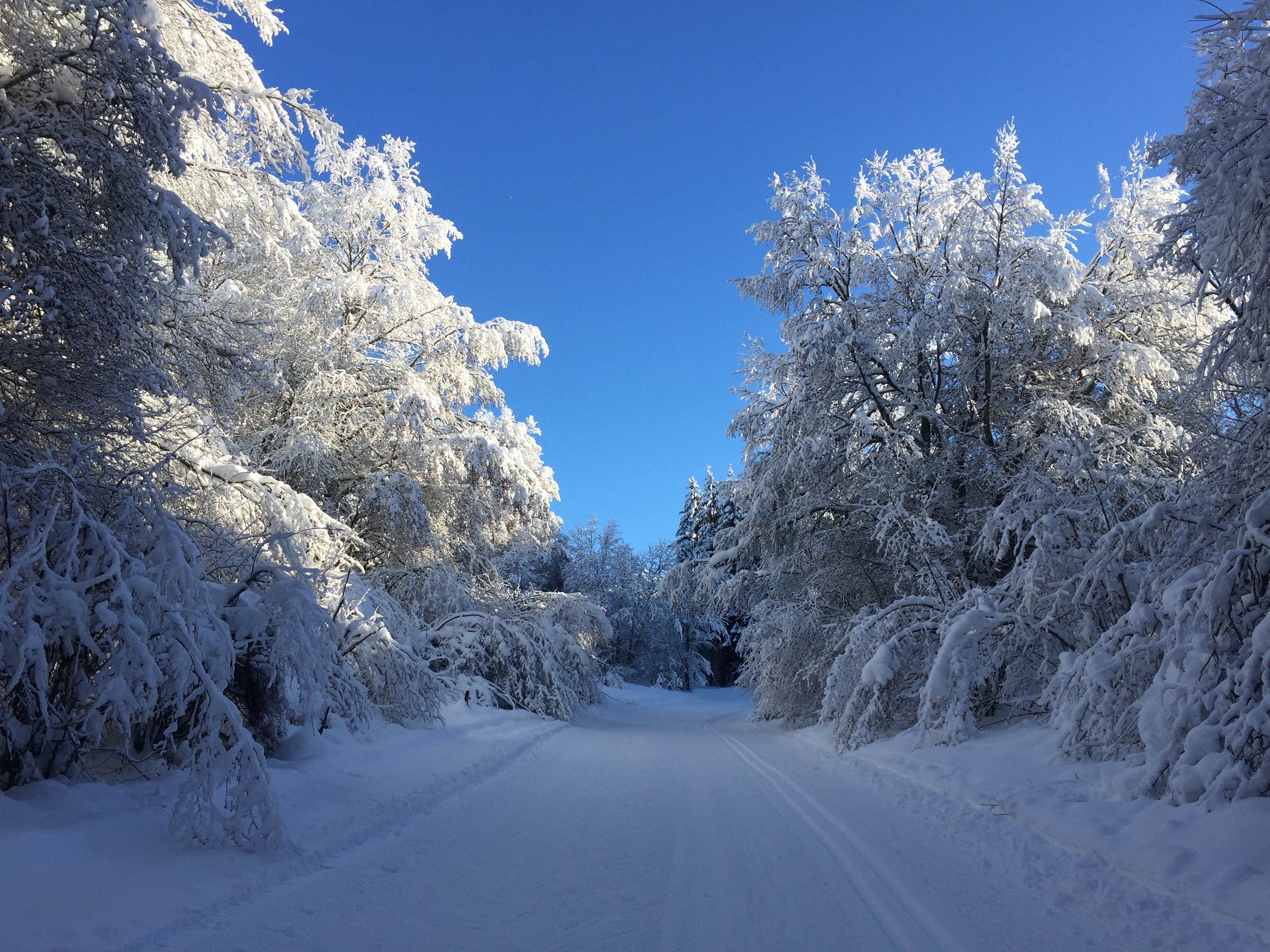 Piste bleue de ski de fond du Plateau de Retord : Le Balcon des Plans