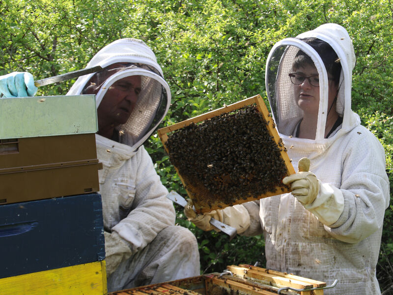 Two beekeepers in an apiary