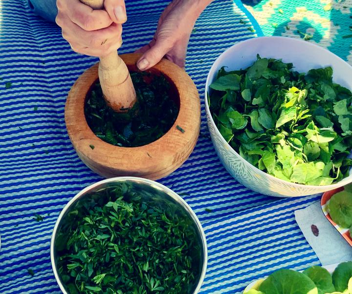 PRÉPARATION D’UN PESTO SAUVAGE