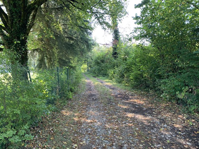 Randonnée - Sur les pentes de l'avocat