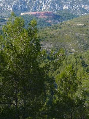 Allauch : les collines de Pagnol - photo 2