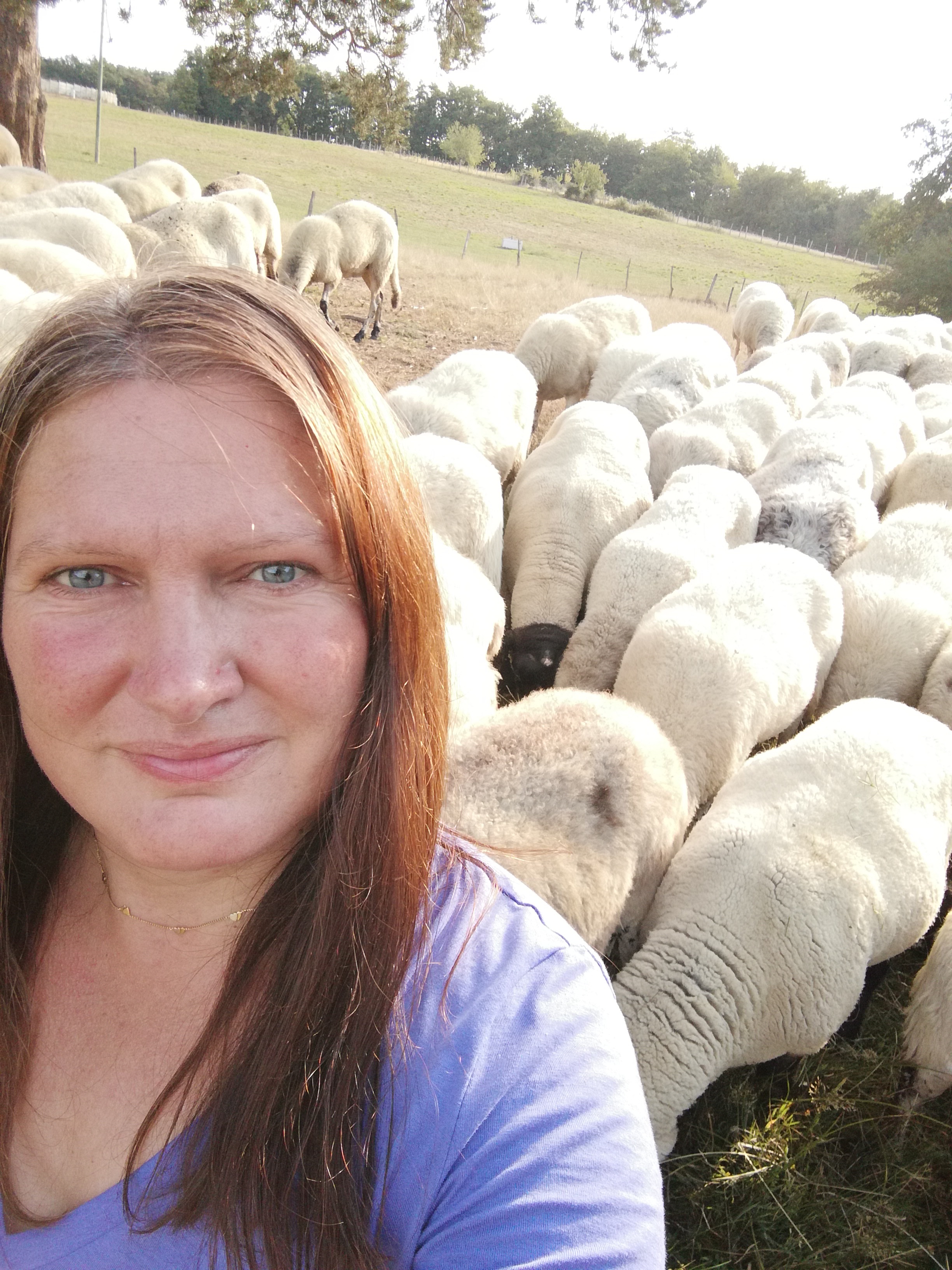 La Ferme du Pré Fleuri - Ferme équestre attelage