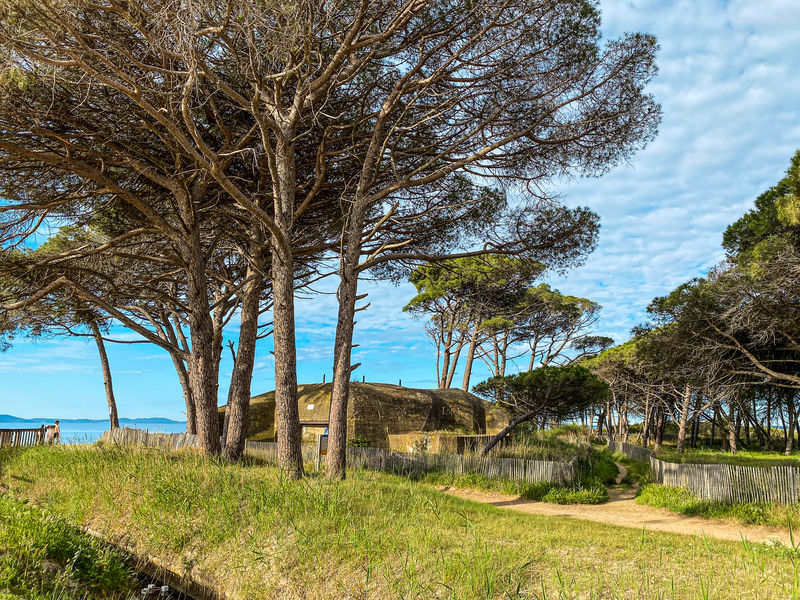 Visite guidée, les blockhaus de la seconde guerre mondiale