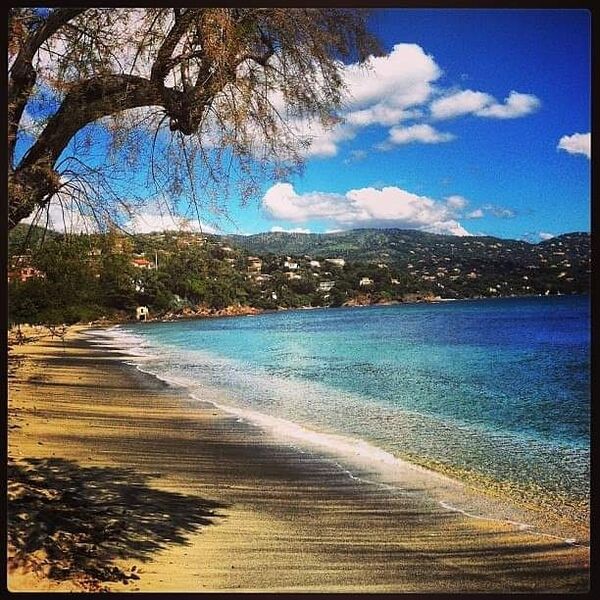 TAMARIS PLAGE plage de pramousquier le lavandou 5 (5)