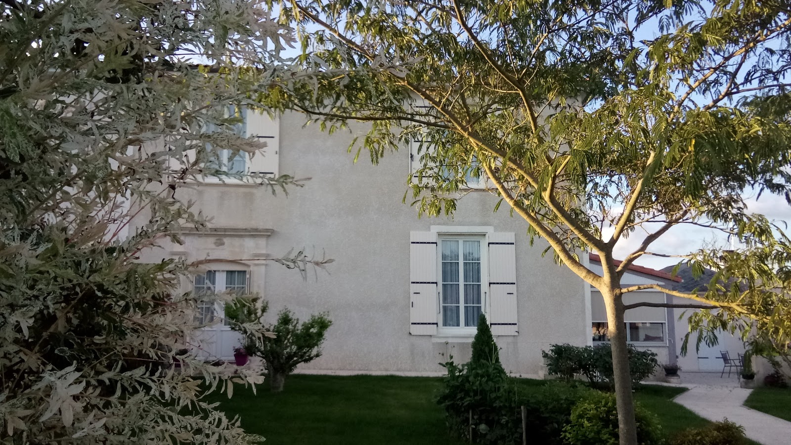 Le Marronnier d'Armandine