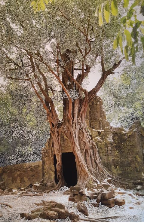 Exposition « Géologie des Ames »