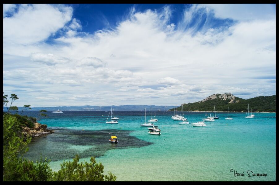 La plage Notre Dame - ile de porquerolles - hyeres