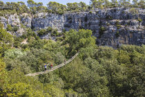 Canyon Forest - Villeneuve-Loubet
