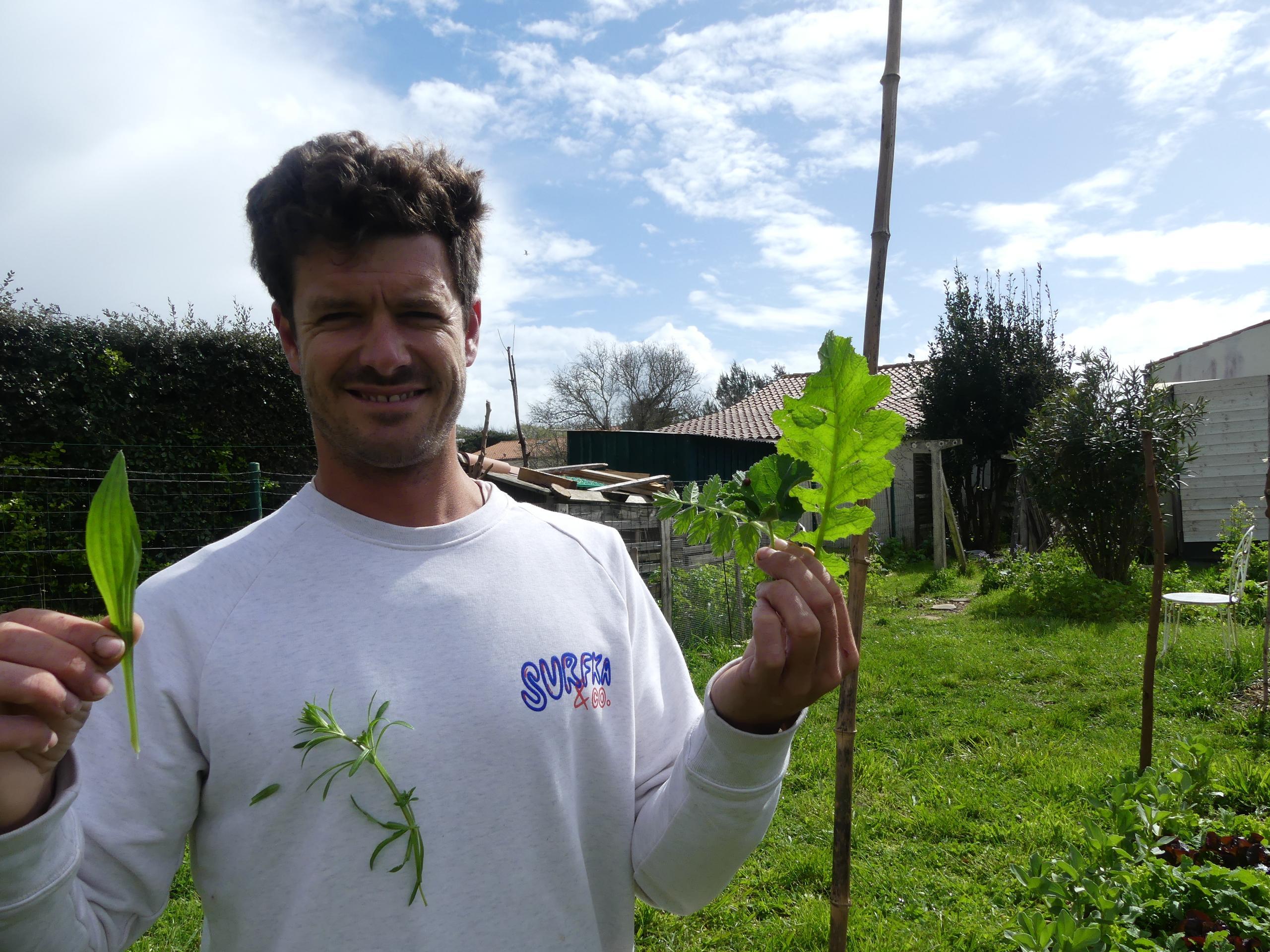 Découverte nature : initiation à la cueillette - les marais oléronais