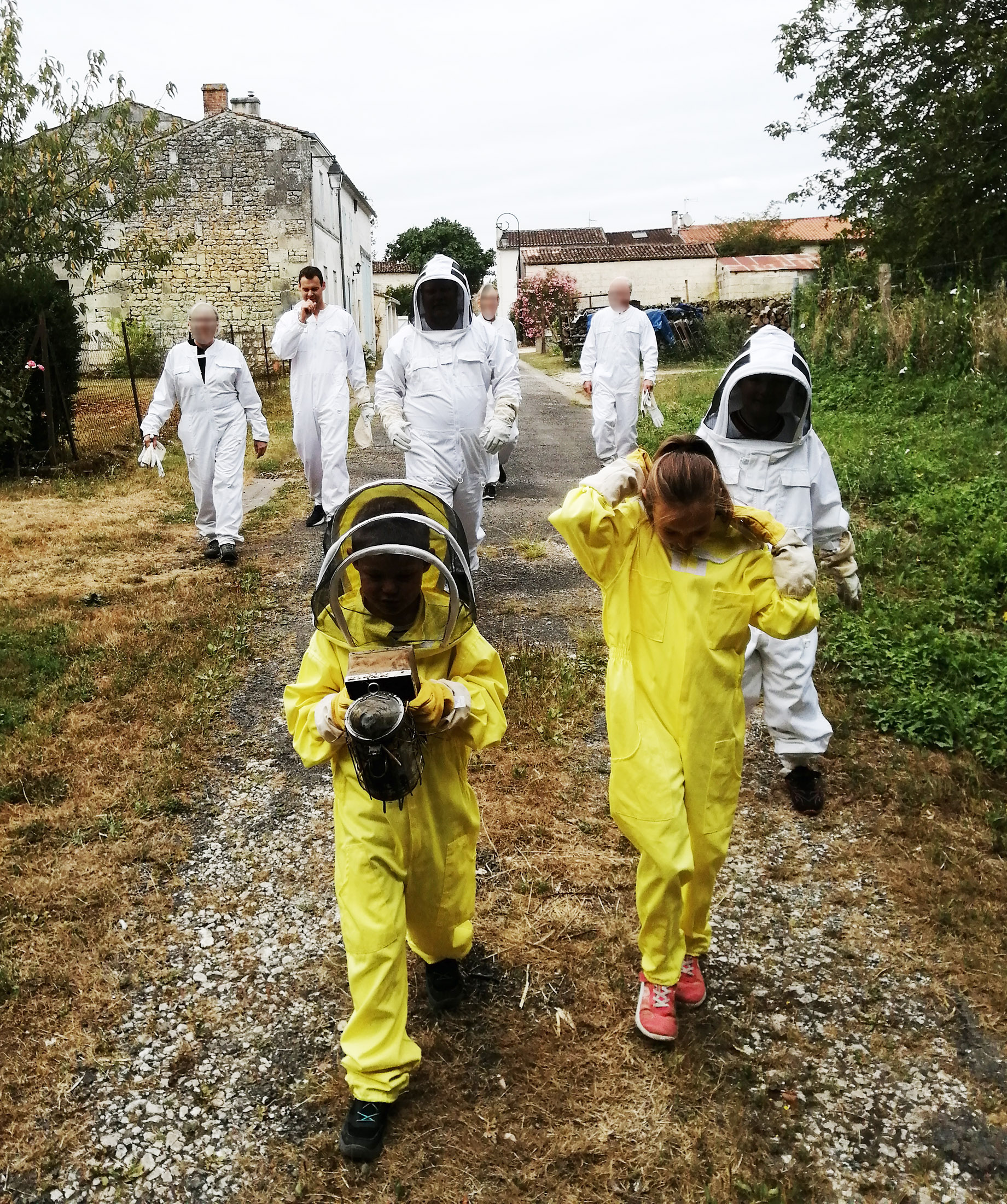 Visite-découverte du monde des abeilles