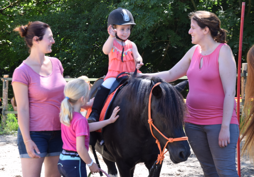 Les poneys de Julie
