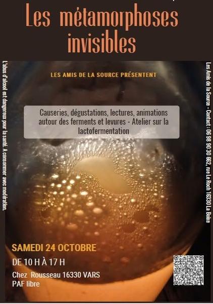 Les métamorphoses invisibles
