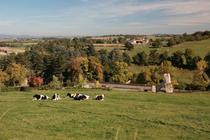 Marche d'Halloween_Saint-Héand
