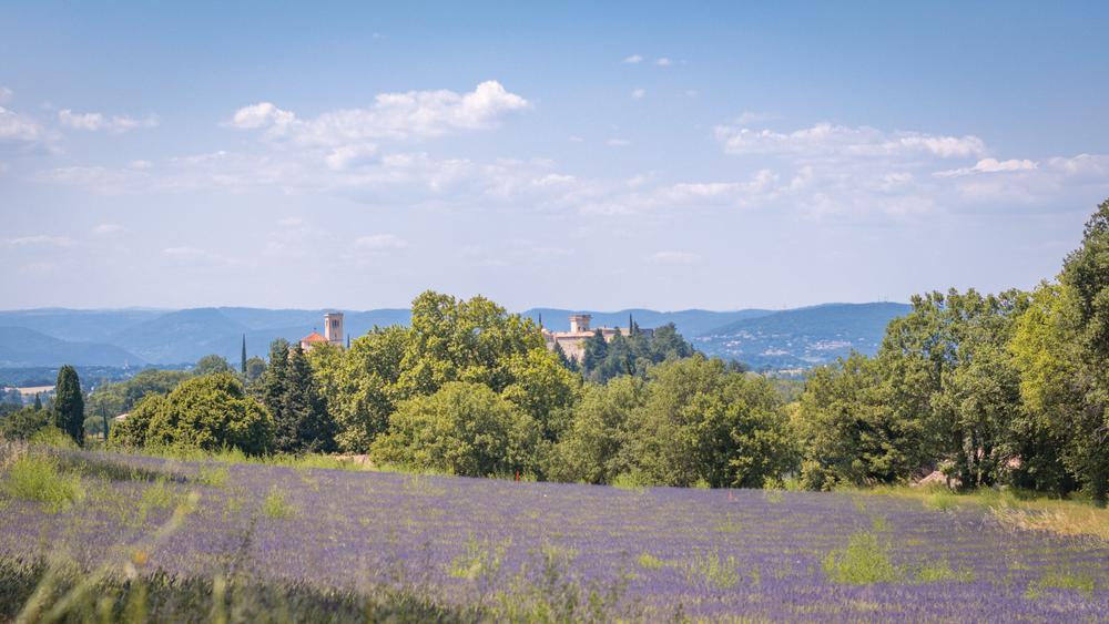 Puygiron et Lavande