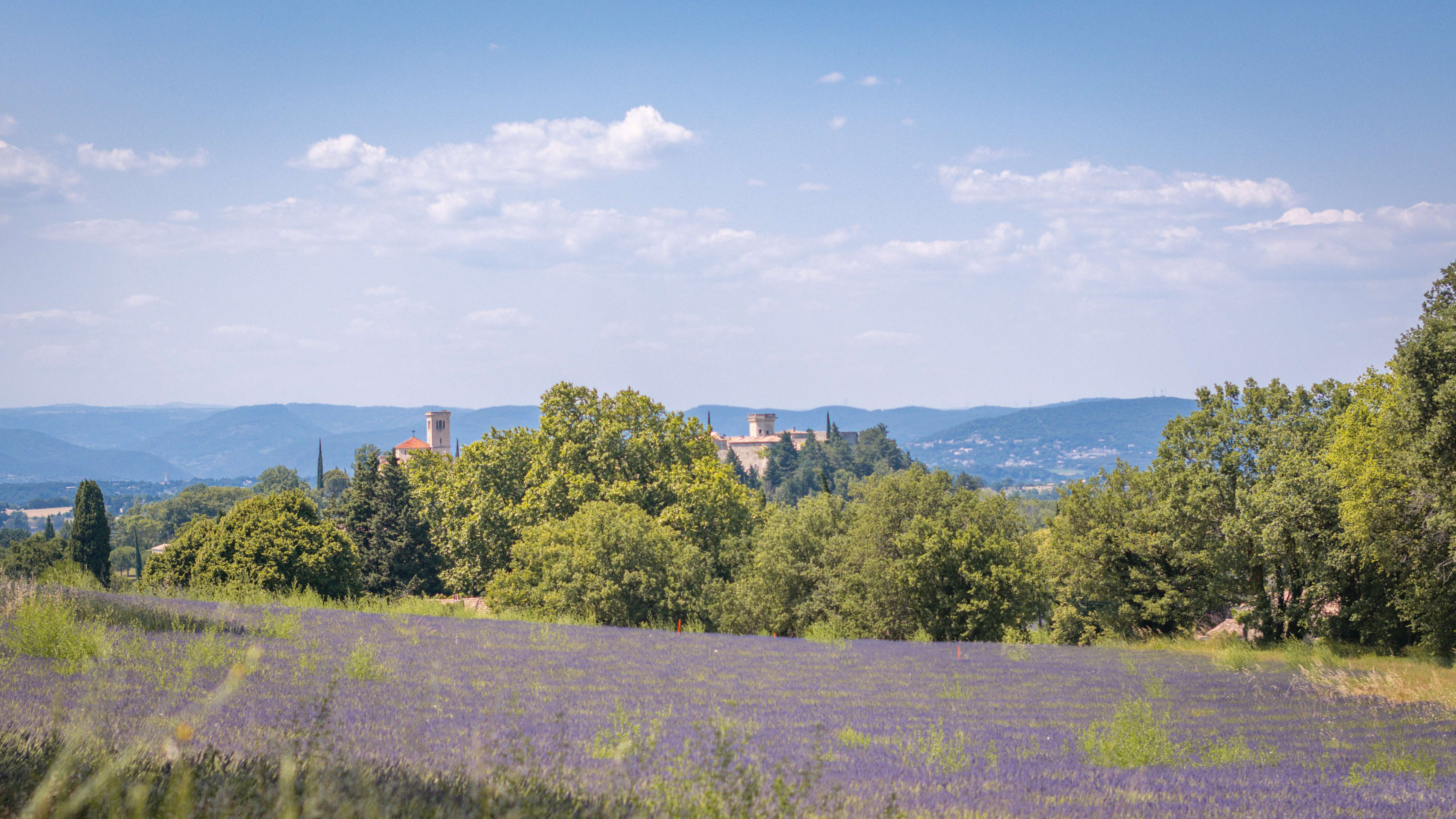Puygiron et Lavande