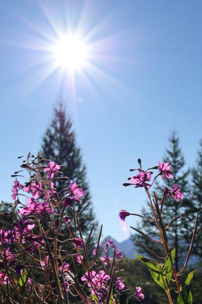 Le sentier des Cascades_Névache
