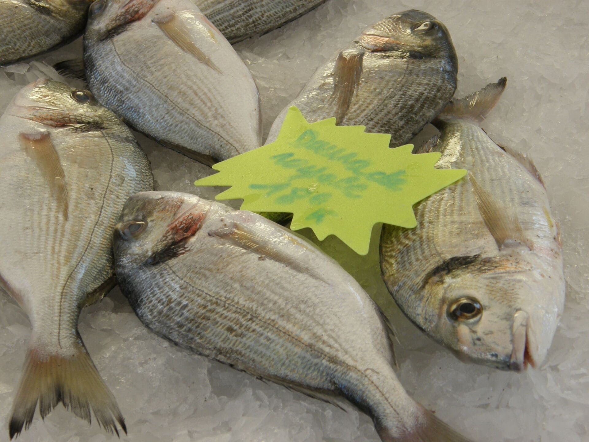 Marché aux poissons de Carro