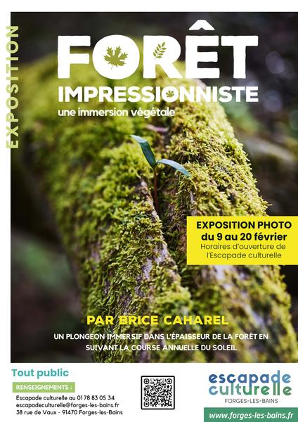 Exposition photo « Forêt » de Brice Caharel