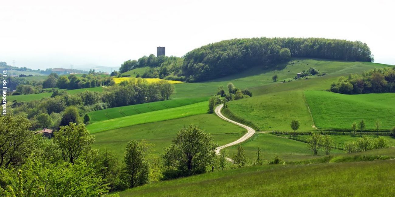 photosFeed-https://static.apidae-tourisme.com/filestore/objets-touristiques/images/33/234/41740833.jpg