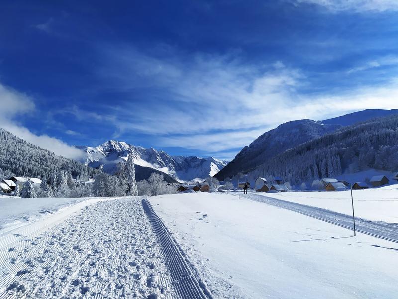 longeant les pistes de ski de fond