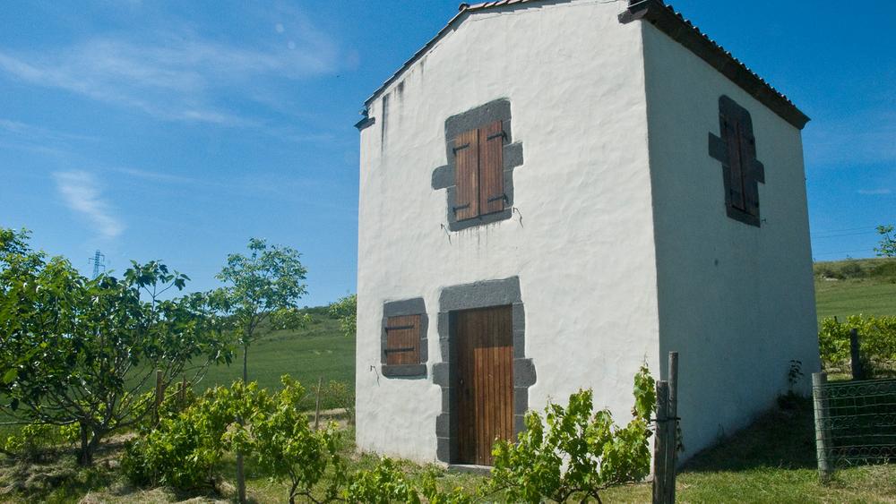 Tonne de Vigne