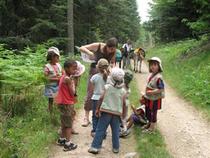 Anne-Marie Griot - Accompagnatrice de moyenne montagne Du 1 janv au 31 déc 2024