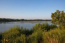 Vignette - Durance Vignette - Durance