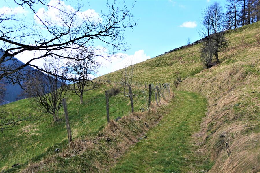 Sentier des noisettes