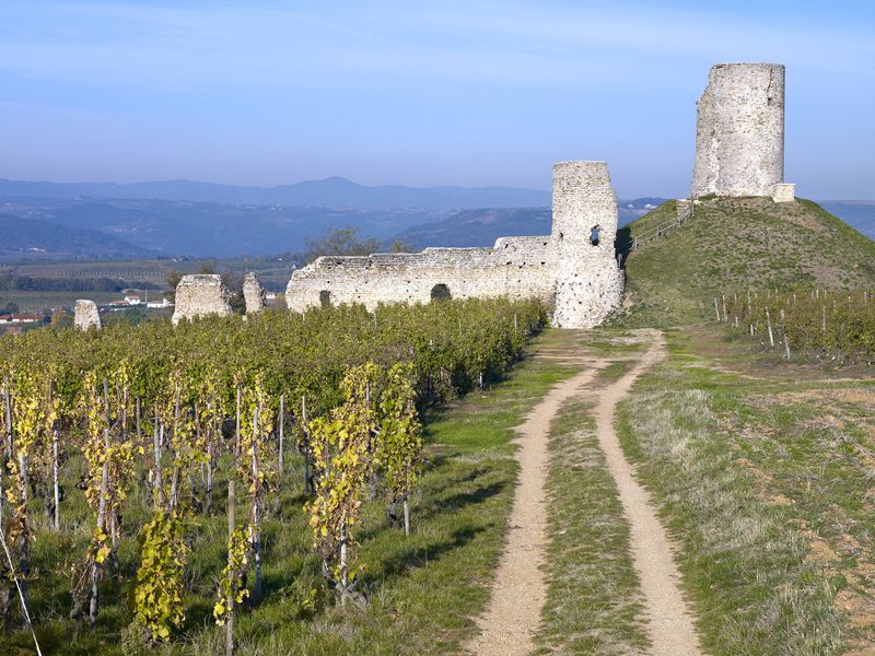 Vignoble les Hauts de Mercurol