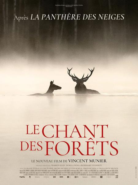 Projection du film : Le chant des forêts