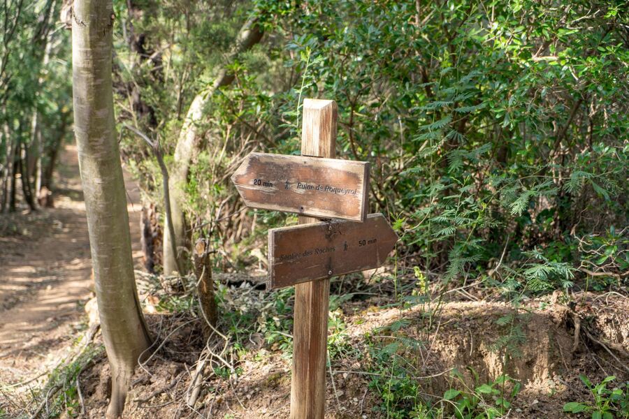 Randonnée : Sentier du mimosa - Vallon de la Gaillarde