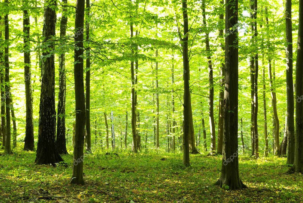 Balade sensorielle à Nodes