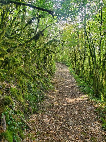 Montée vers les ruine de Vernon