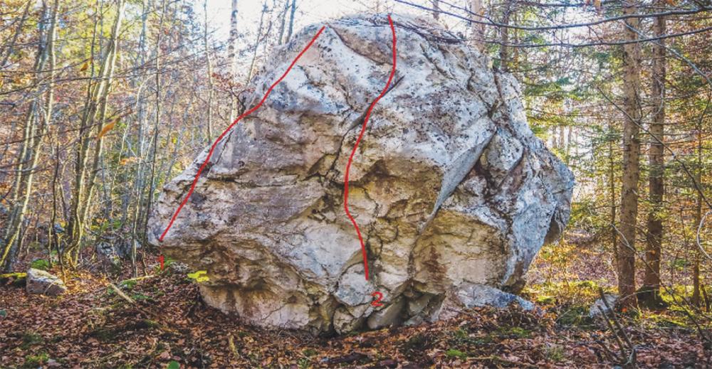 Blocs d'escalade du Plateau d'Assy_Passy