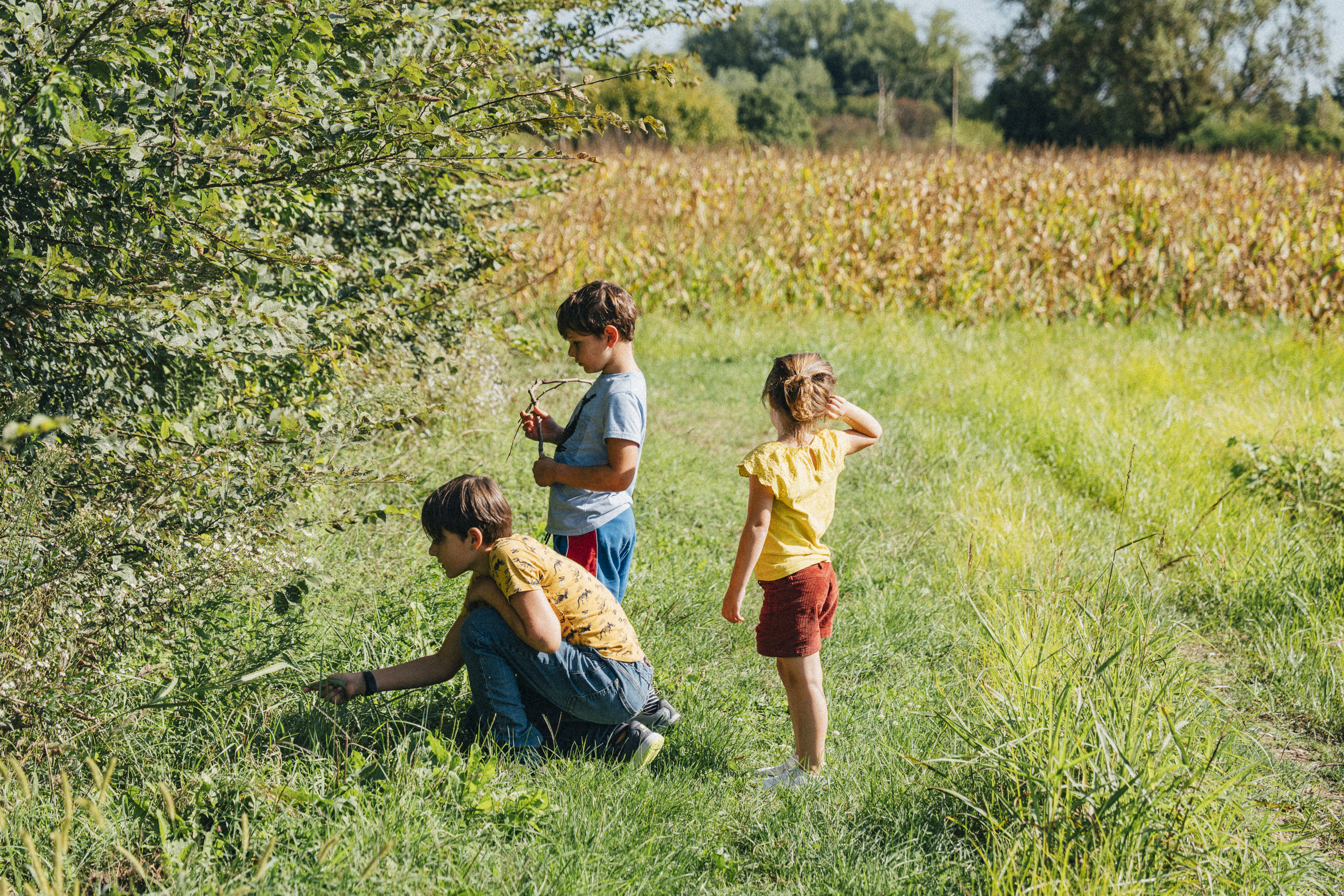 Espace Naturel Sensible du  Méandre des Oves_Le Péage-de-Roussillon