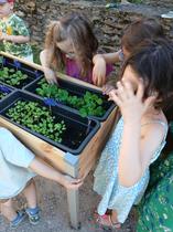Atelier en famille "Savez-vous planter les choux ?"_Sainte-Croix-en-Jarez