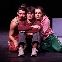 La peau des autres - Acrobatica Machina_Grenoble